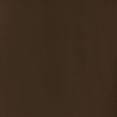 Kasmir BY DESIGN        MOCHA           